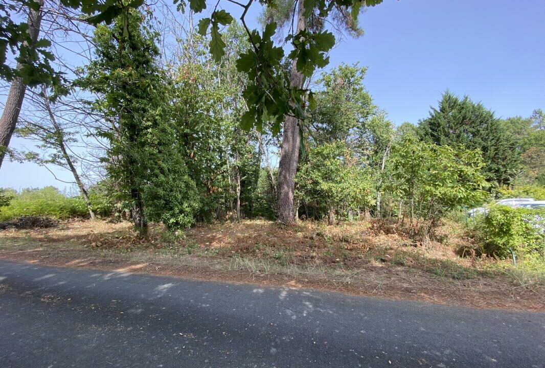 PVTE10000041-18042025-002129-2