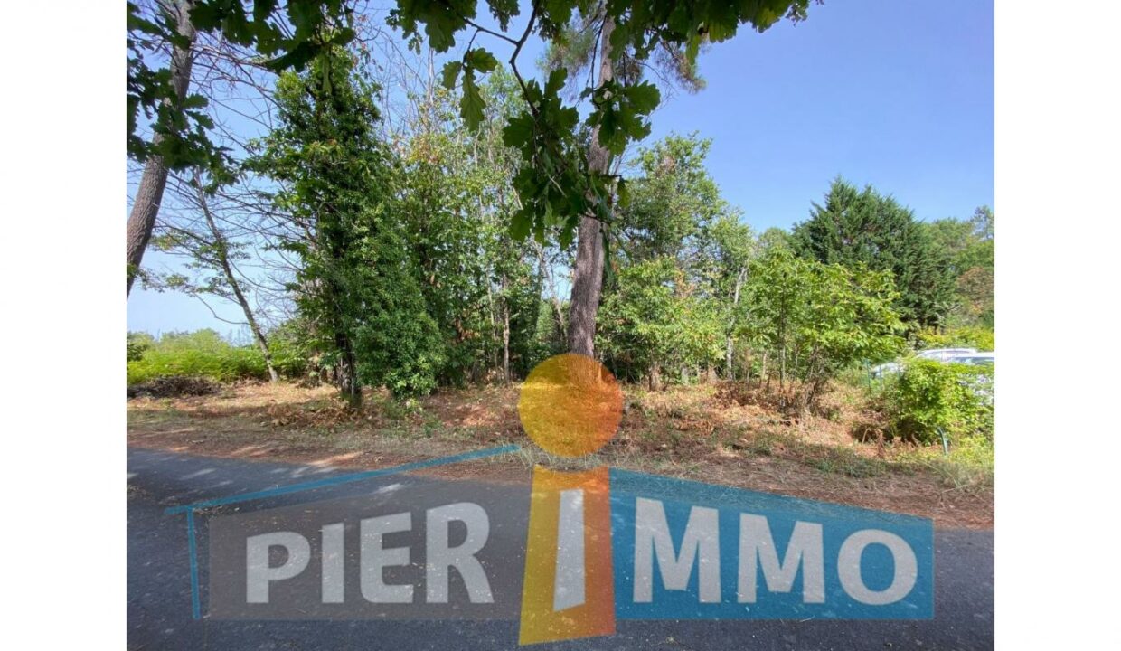 PVTE10000041-18042025-002129-3