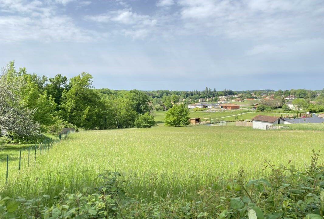 V10000174-02052025-173242
