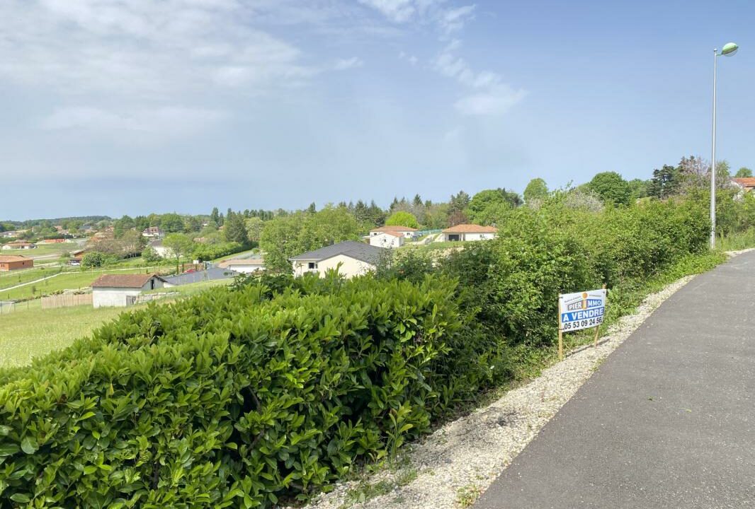 V10000174-02052025-173242-2